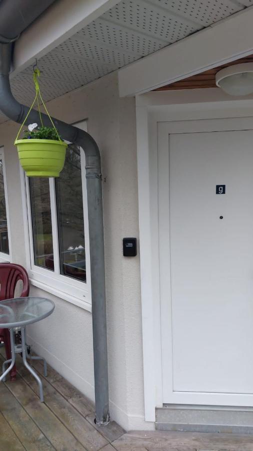 Ferienwohnung Am Stadtwald 弗赖贝格 外观 照片